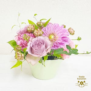 敬老の日限定 アレンジメント(ピンク)